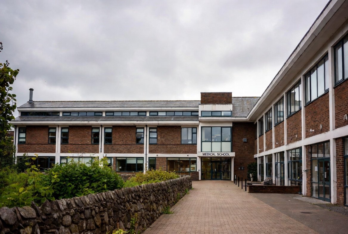 Meningococcal Outbreak in Kent – Advice for London Students and Young Adults