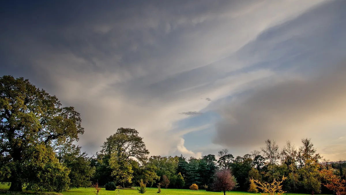 Weather in London and the UK: Drought in England. The ban on using garden hoses may remain in place until the end of the year